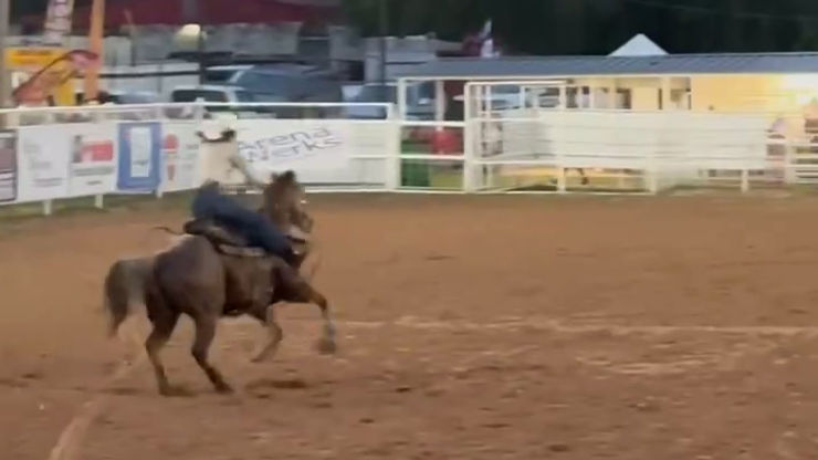Nova placing 9th at rodeo